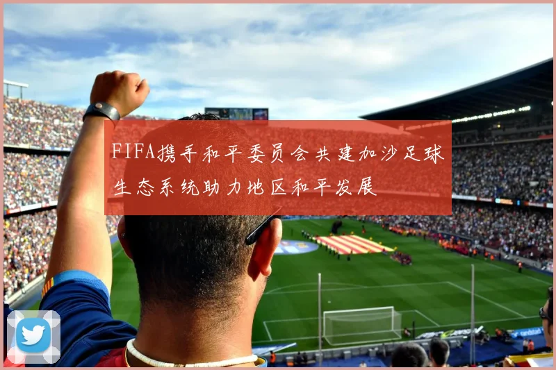 FIFA携手和平委员会共建加沙足球生态系统助力地区和平发展