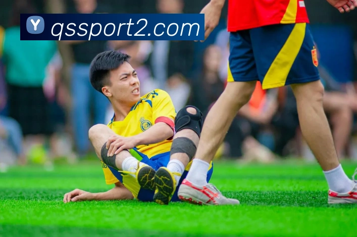 球速体育平台生态图